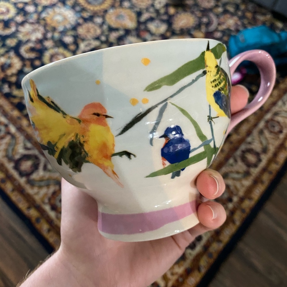 Set of 2 Anthropologie Mugs 🐦🐤🕊